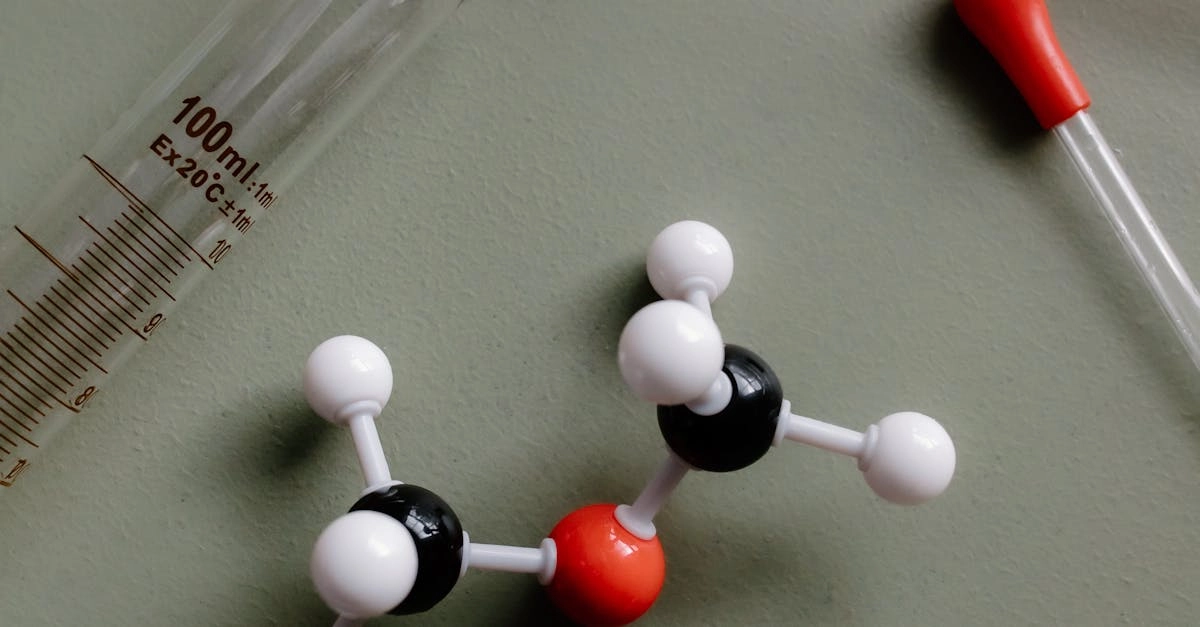 Образовательный анализ слот-игры Wolf Gold для развития навыков