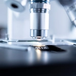 Образовательный анализ бездепозитных бонусных систем казино